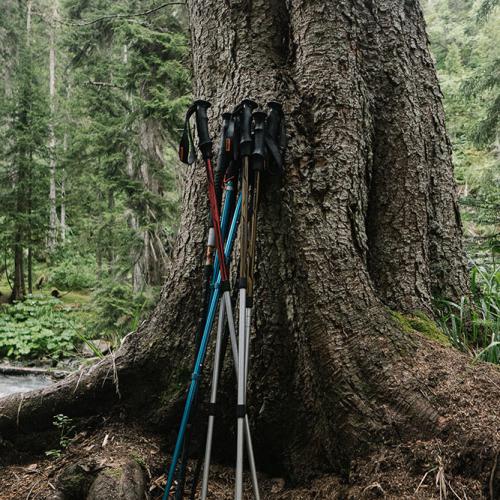 Noleggio bastoni da trekking