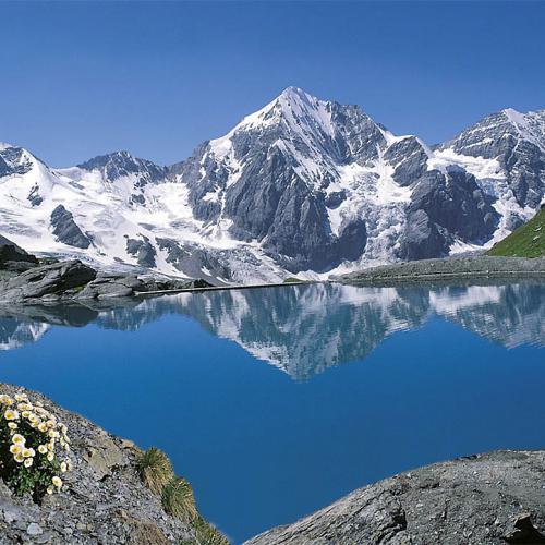 Gran Zebrù con lago di montagna in primo piano