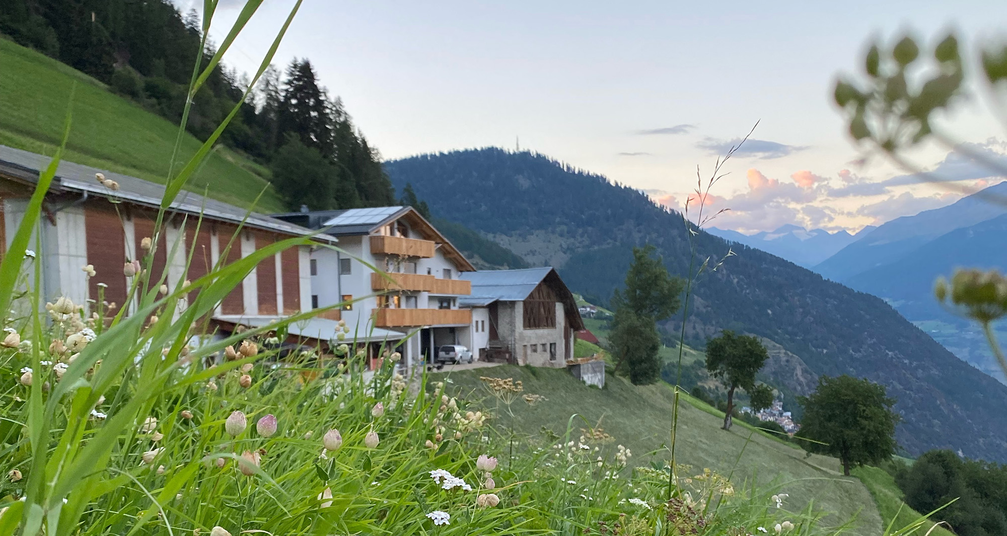 Innerpasthof a Stelvio