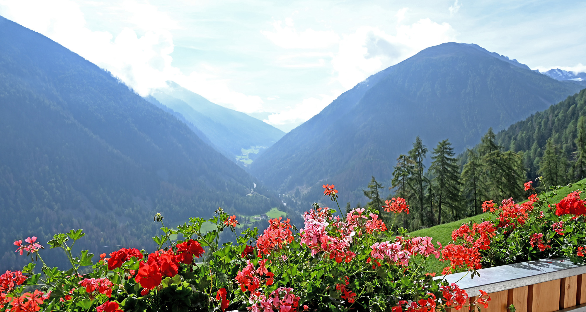 Innerpasthof - Stelvio